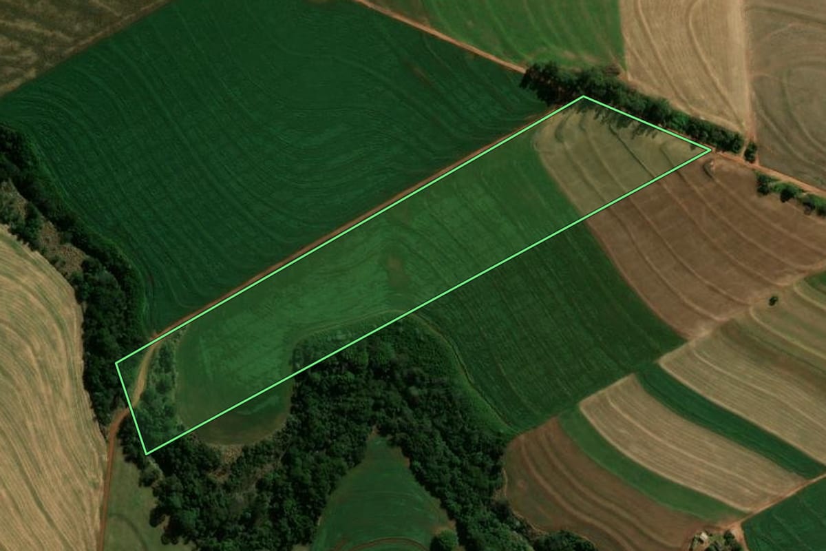 Imagem de satélite do imóvel rural em Araruna (PR), com o contorno declarado no CAR desenhado por cima.