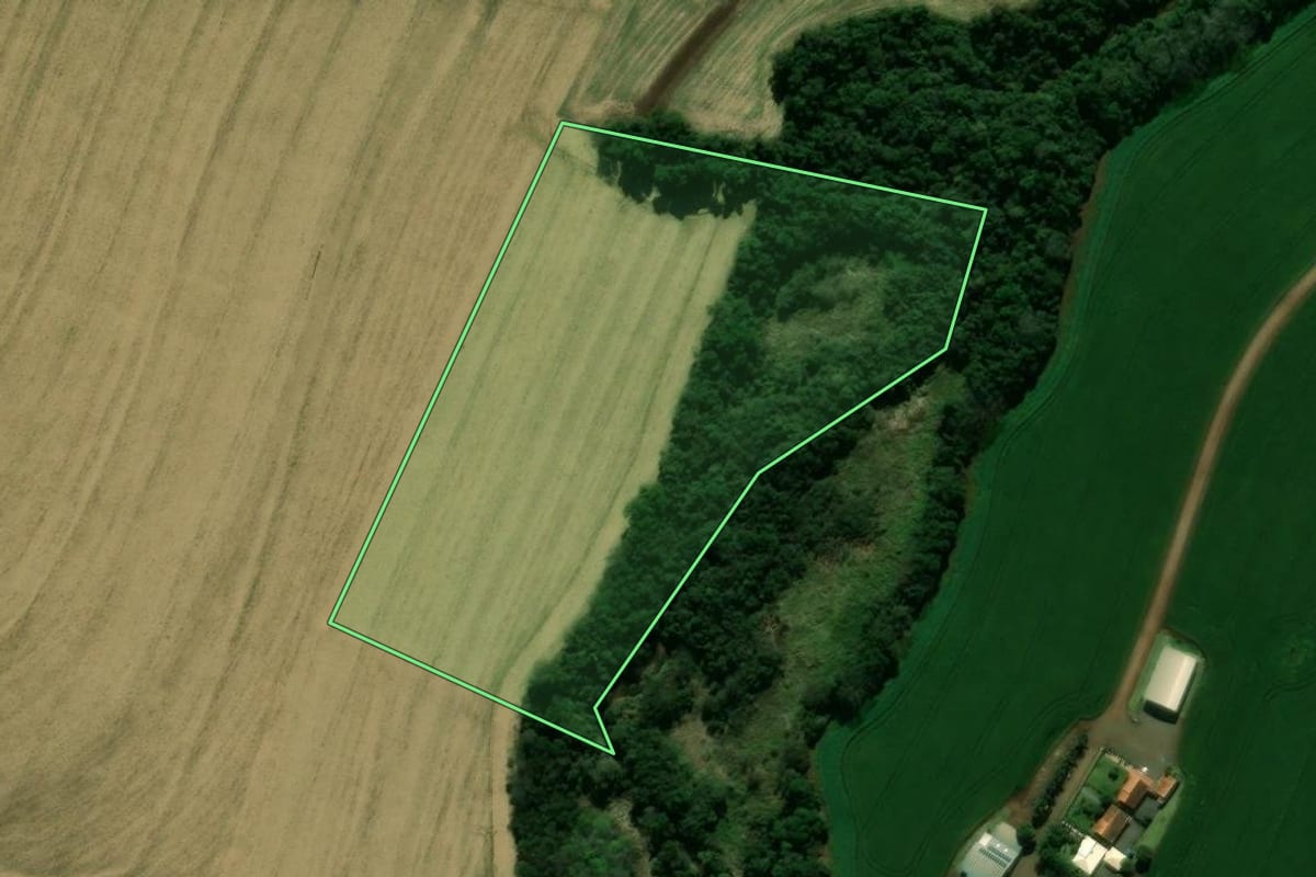 Imagem de satélite do imóvel rural em Araruna (PR), com o contorno declarado no CAR desenhado por cima.