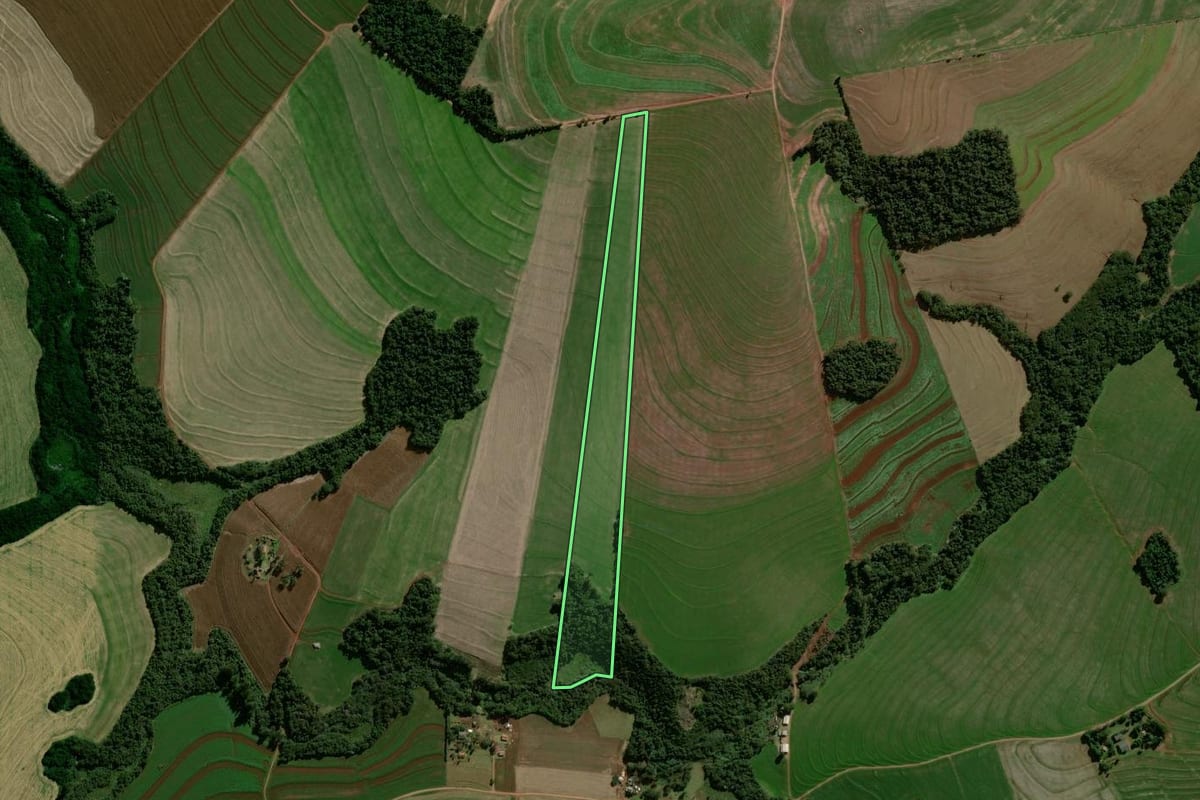 Imagem de satélite do imóvel rural em Araruna (PR), com o contorno declarado no CAR desenhado por cima.