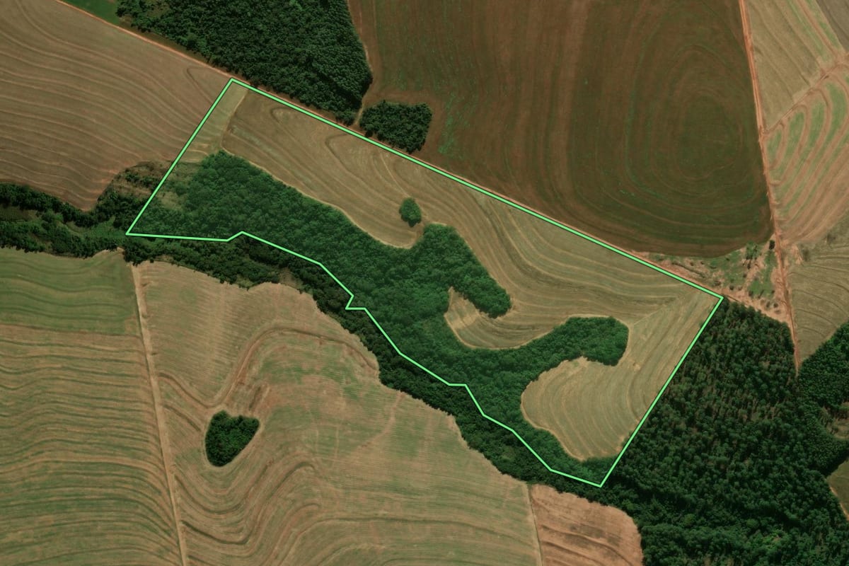 Imagem de satélite do imóvel rural em Araruna (PR), com o contorno declarado no CAR desenhado por cima.