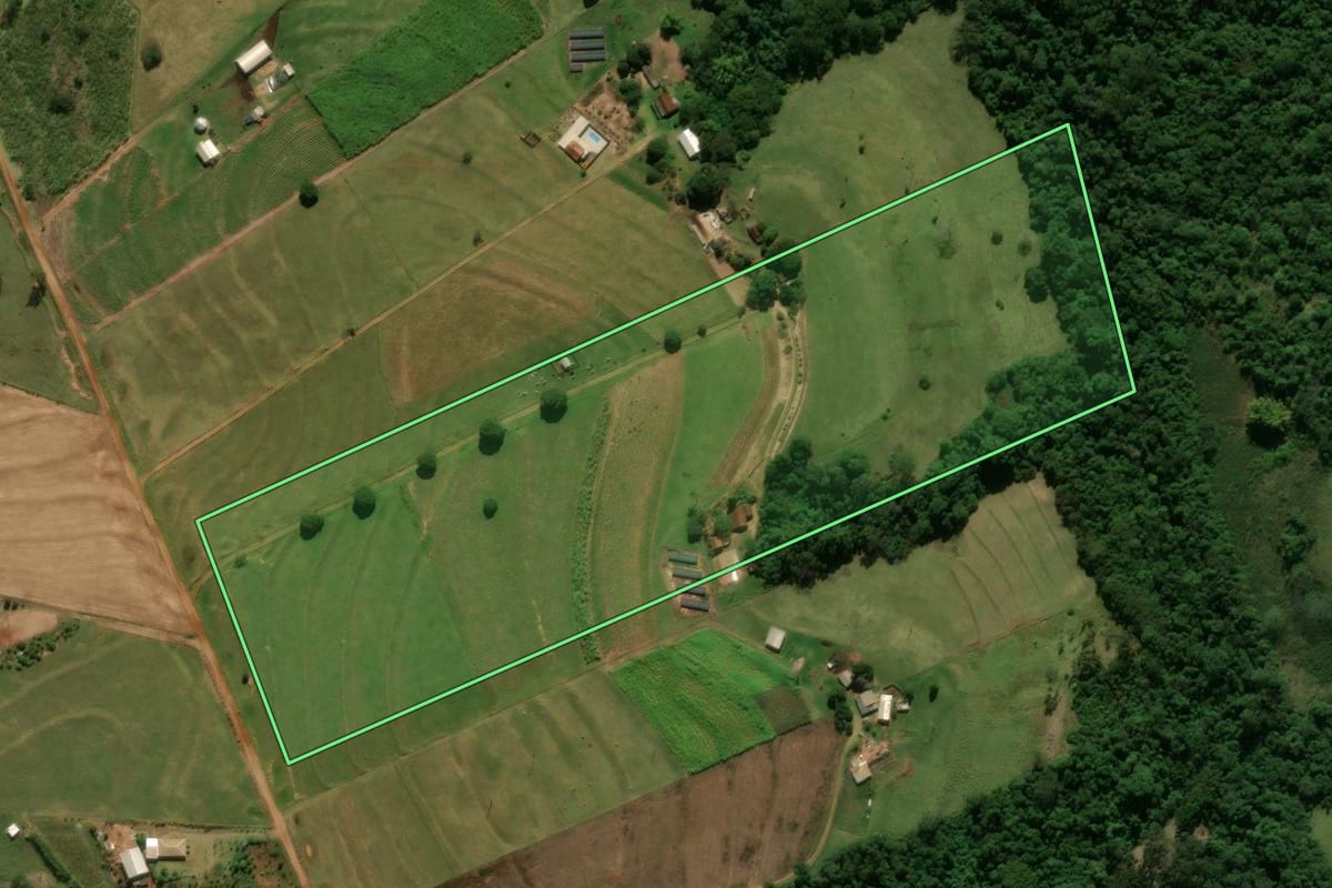 Imagem de satélite do imóvel rural em Araruna (PR), com o contorno declarado no CAR desenhado por cima.