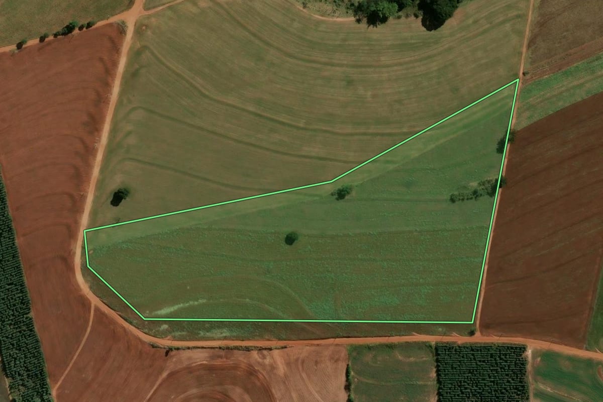 Imagem de satélite do imóvel rural em Araruna (PR), com o contorno declarado no CAR desenhado por cima.