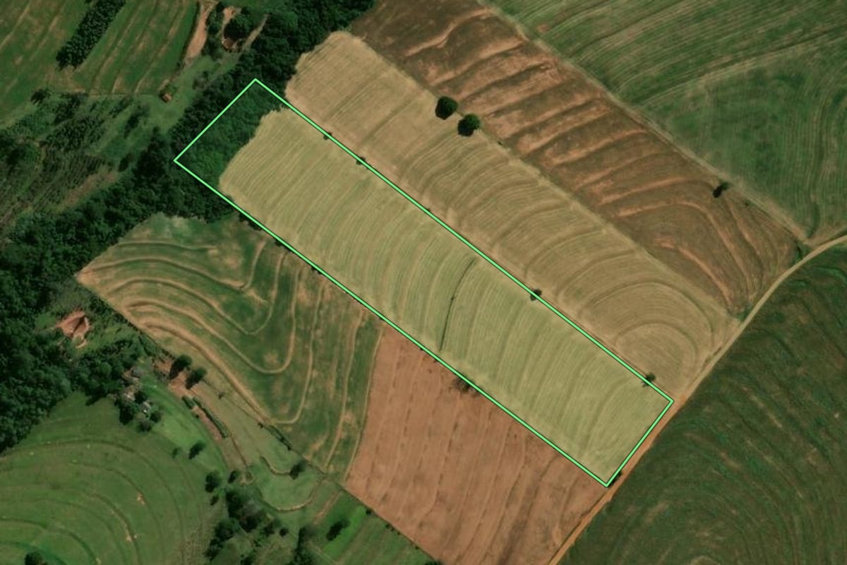 Imagem de satélite do imóvel rural em Araruna (PR), com o contorno declarado no CAR desenhado por cima.