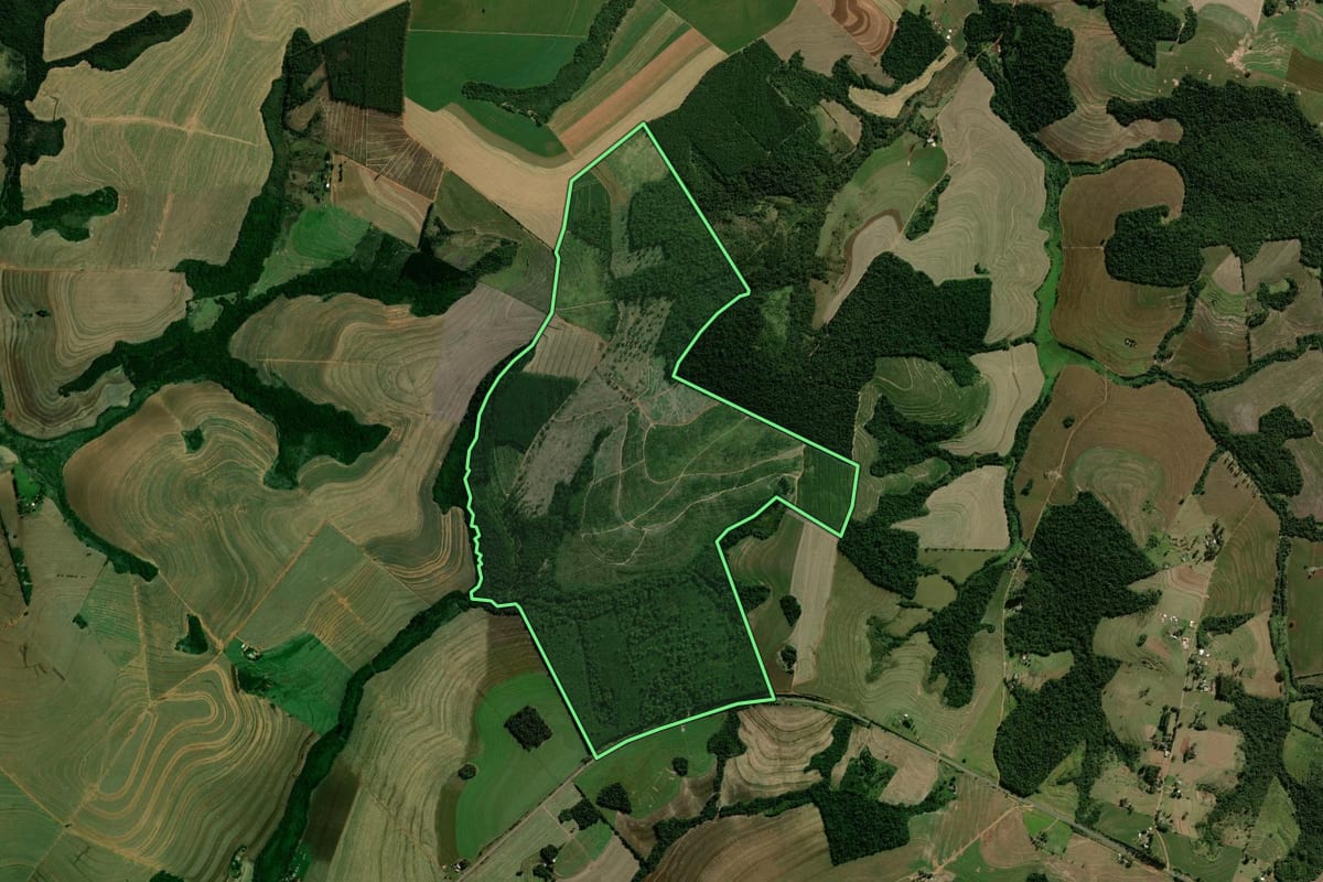 Imagem de satélite do imóvel rural em Araruna (PR), com o contorno declarado no CAR desenhado por cima.