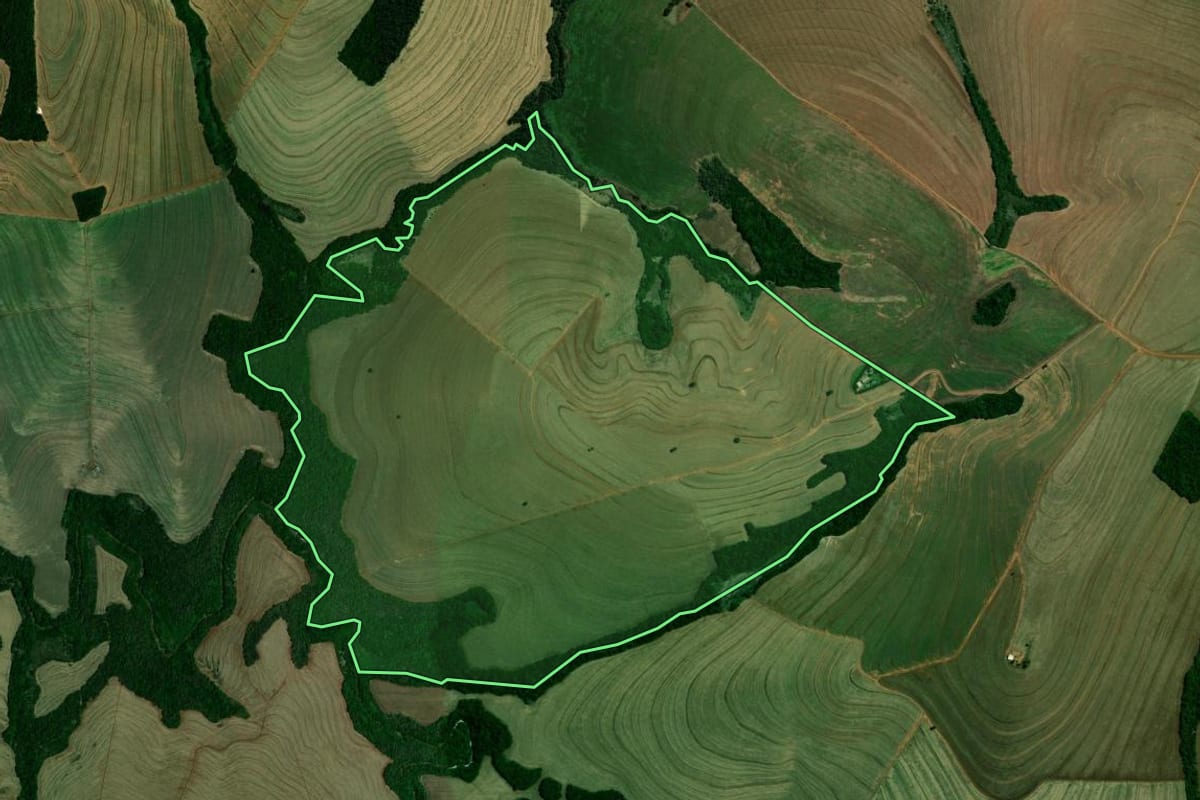 Imagem de satélite do imóvel rural em Araruna (PR), com o contorno declarado no CAR desenhado por cima.