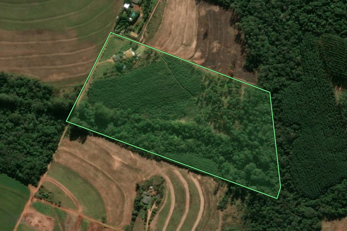 Imagem de satélite do imóvel rural em Araruna (PR), com o contorno declarado no CAR desenhado por cima.