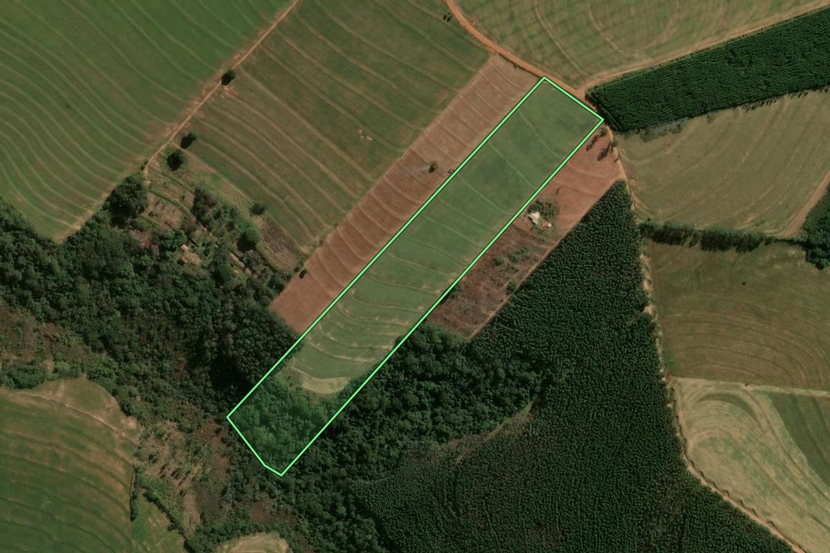 Imagem de satélite do imóvel rural em Araruna (PR), com o contorno declarado no CAR desenhado por cima.