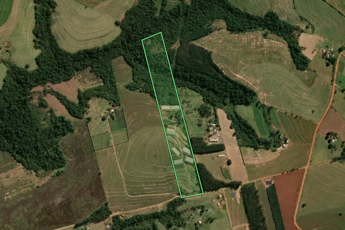 Imagem de satélite do imóvel rural em Araruna (PR), com o contorno declarado no CAR desenhado por cima.