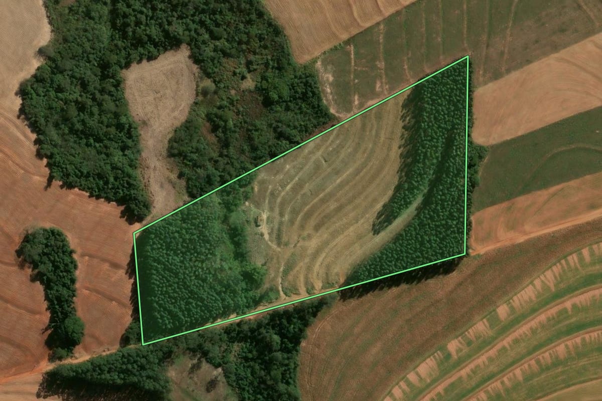 Imagem de satélite do imóvel rural em Araruna (PR), com o contorno declarado no CAR desenhado por cima.