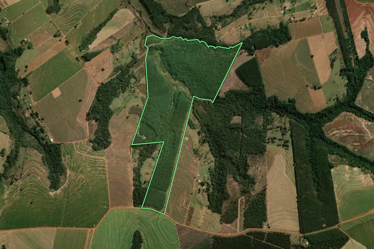 Imagem de satélite do imóvel rural em Araruna (PR), com o contorno declarado no CAR desenhado por cima.