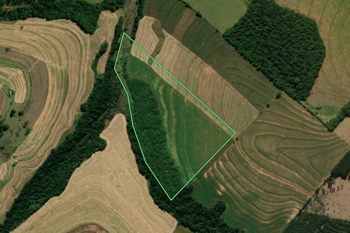Imagem de satélite do imóvel rural em Araruna (PR), com o contorno declarado no CAR desenhado por cima.