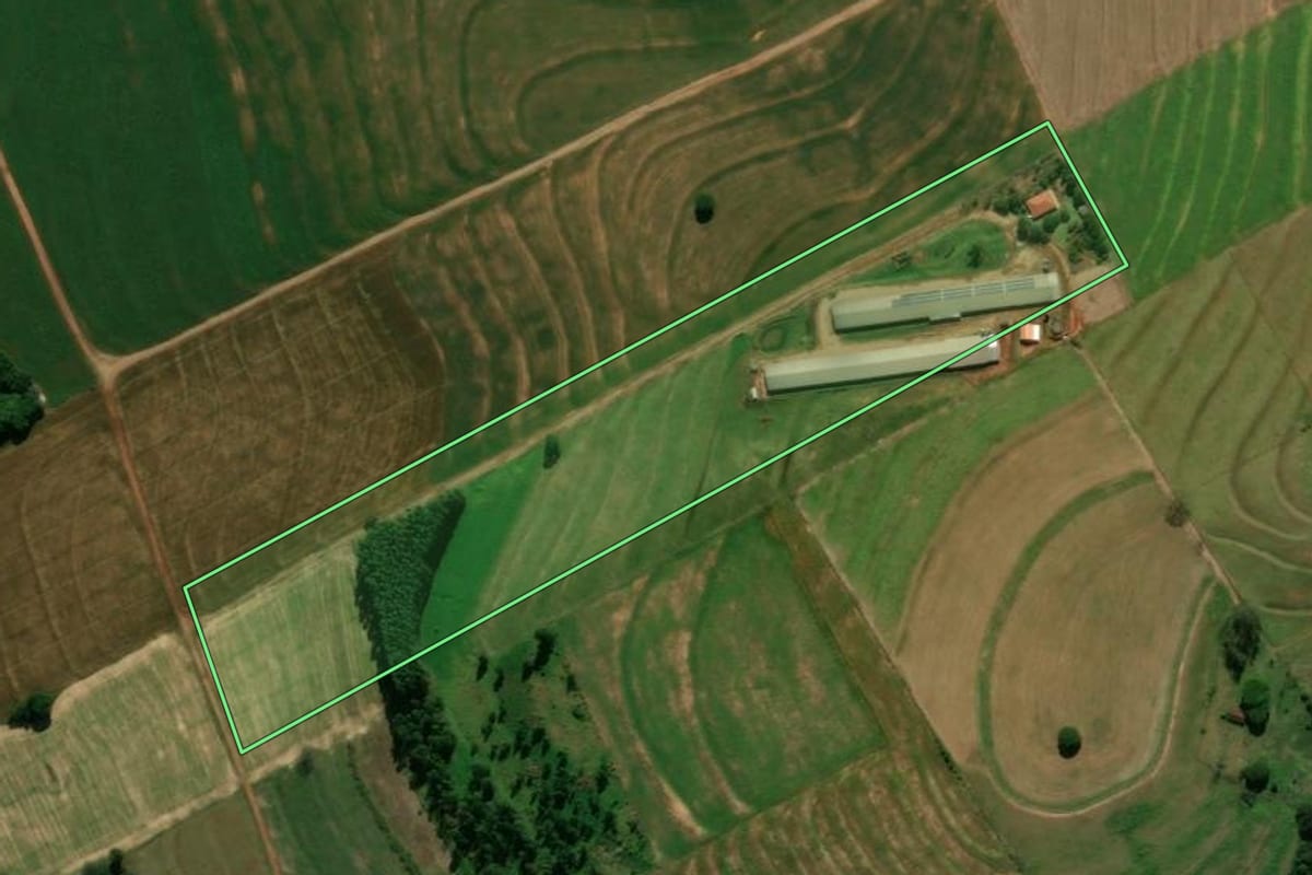 Imagem de satélite do imóvel rural em Araruna (PR), com o contorno declarado no CAR desenhado por cima.