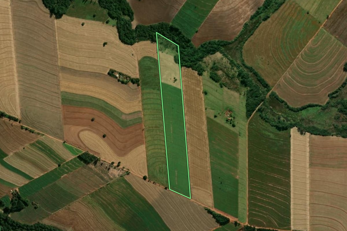 Imagem de satélite do imóvel rural em Araruna (PR), com o contorno declarado no CAR desenhado por cima.