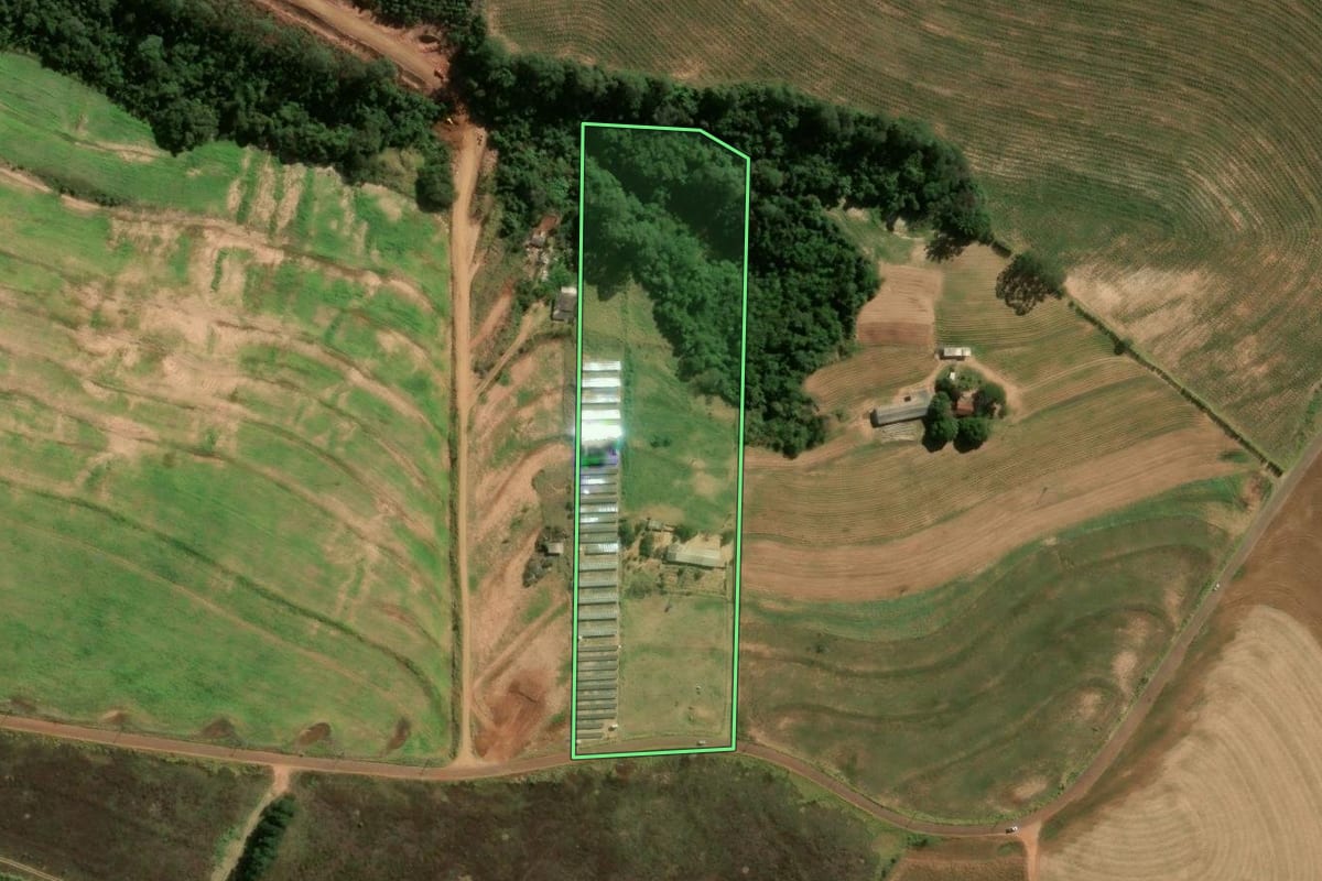Imagem de satélite do imóvel rural em Araruna (PR), com o contorno declarado no CAR desenhado por cima.