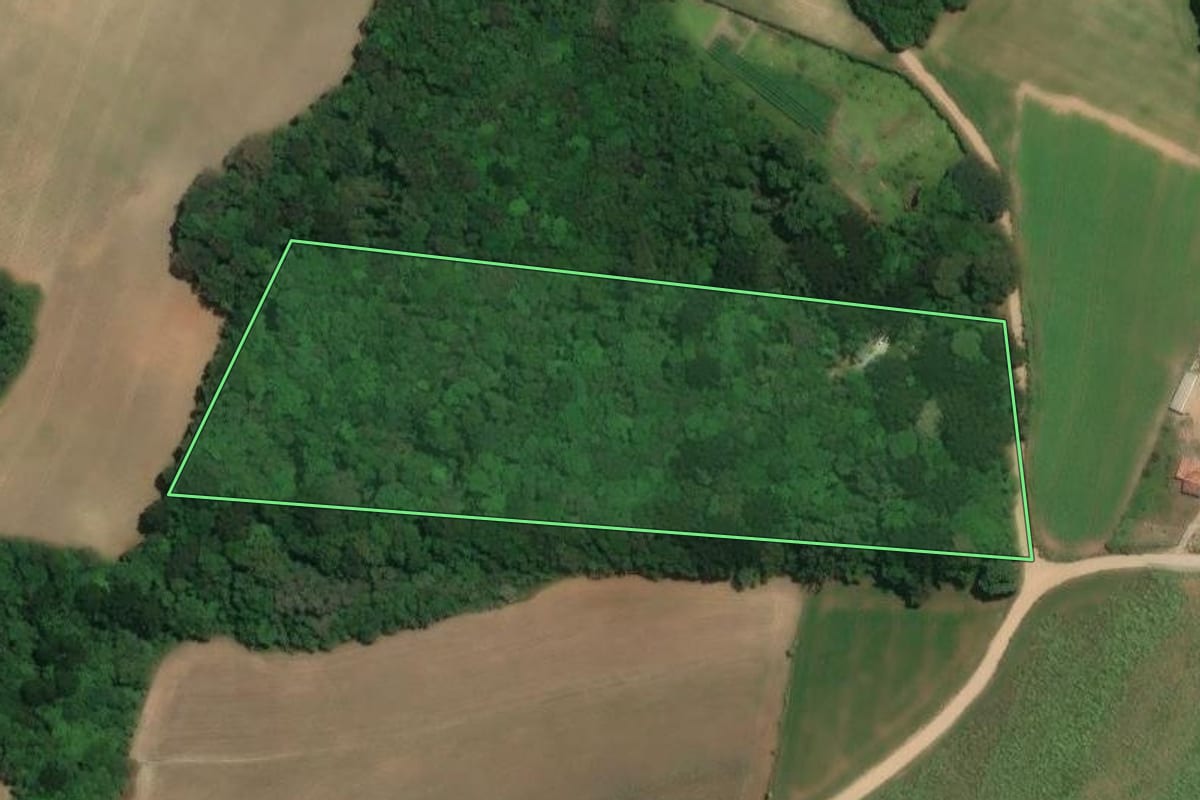 Imagem de satélite do imóvel rural em Araucária (PR), com o contorno declarado no CAR desenhado por cima.