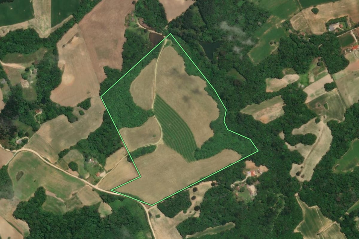 Imagem de satélite do imóvel rural em Araucária (PR), com o contorno declarado no CAR desenhado por cima.