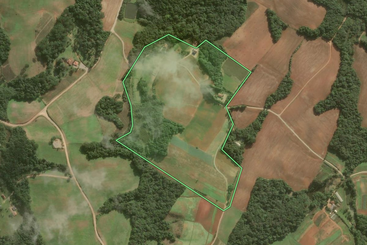 Imagem de satélite do imóvel rural em Araucária (PR), com o contorno declarado no CAR desenhado por cima.