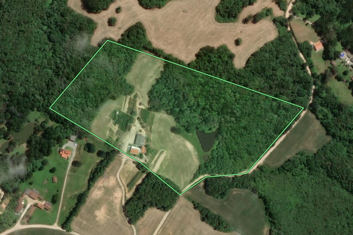 Imagem de satélite do imóvel rural em Araucária (PR), com o contorno declarado no CAR desenhado por cima.