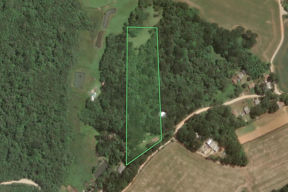 Imagem de satélite do imóvel rural em Araucária (PR), com o contorno declarado no CAR desenhado por cima.