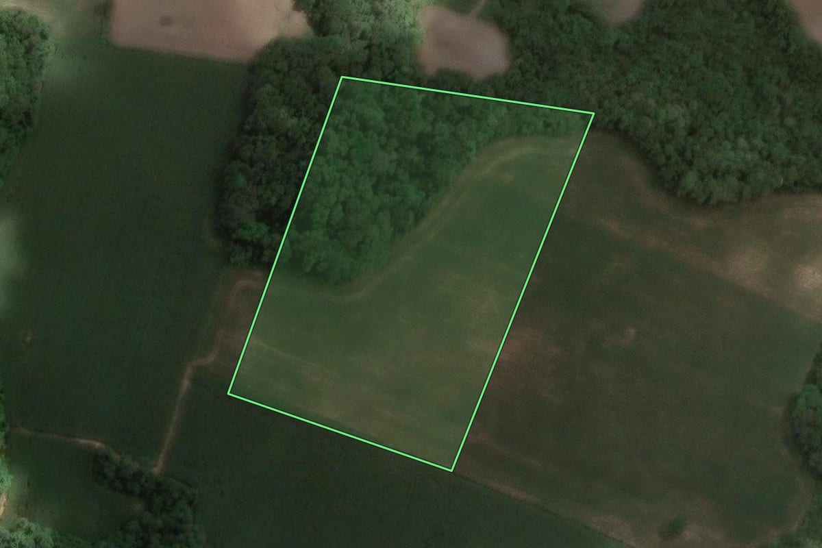 Imagem de satélite do imóvel rural em Araucária (PR), com o contorno declarado no CAR desenhado por cima.
