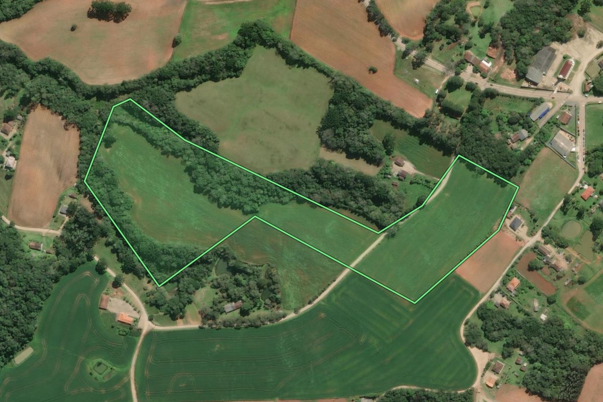 Imagem de satélite do imóvel rural em Araucária (PR), com o contorno declarado no CAR desenhado por cima.