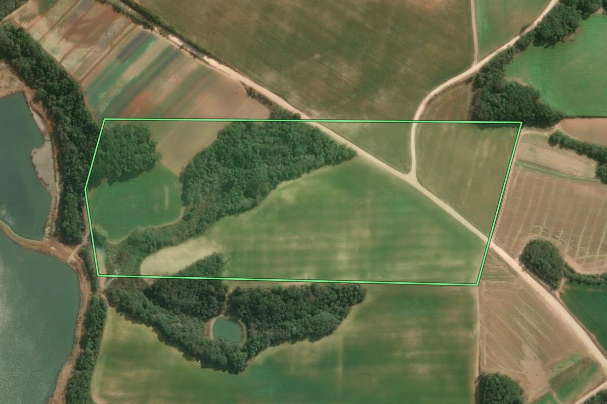 Imagem de satélite do imóvel rural em Araucária (PR), com o contorno declarado no CAR desenhado por cima.