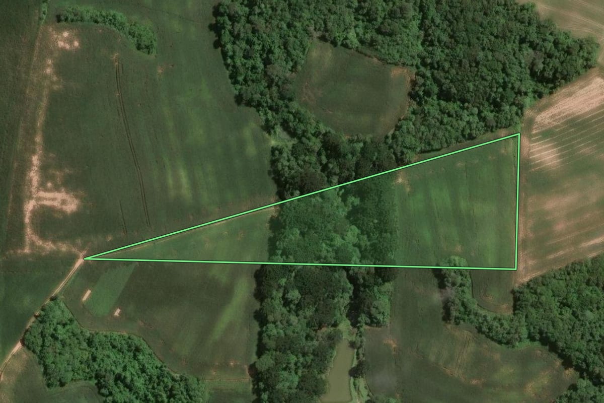 Imagem de satélite do imóvel rural em Araucária (PR), com o contorno declarado no CAR desenhado por cima.
