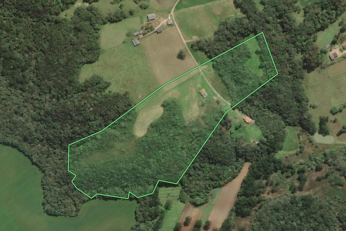 Imagem de satélite do imóvel rural em Araucária (PR), com o contorno declarado no CAR desenhado por cima.