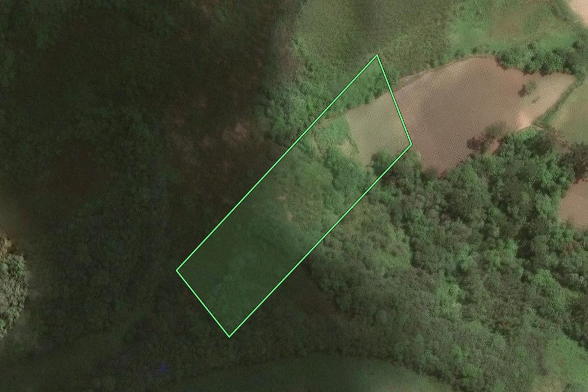 Imagem de satélite do imóvel rural em Araucária (PR), com o contorno declarado no CAR desenhado por cima.