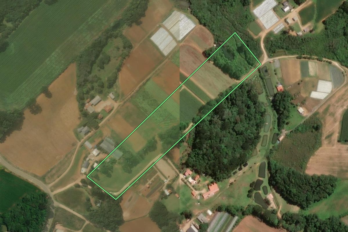 Imagem de satélite do imóvel rural em Araucária (PR), com o contorno declarado no CAR desenhado por cima.