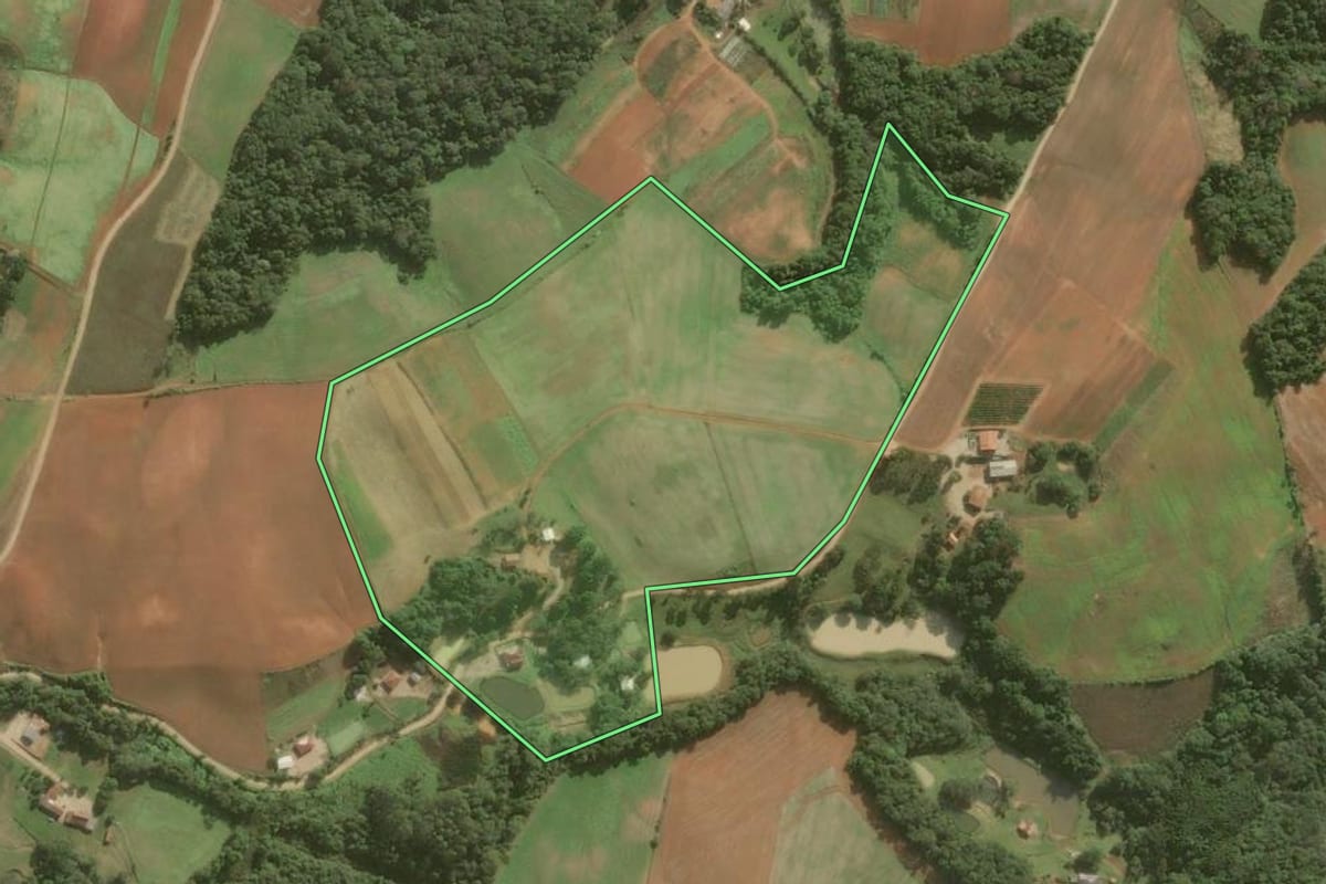 Imagem de satélite do imóvel rural em Araucária (PR), com o contorno declarado no CAR desenhado por cima.