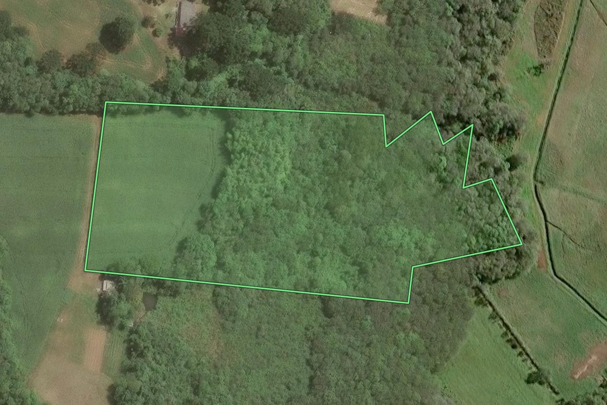 Imagem de satélite do imóvel rural em Araucária (PR), com o contorno declarado no CAR desenhado por cima.