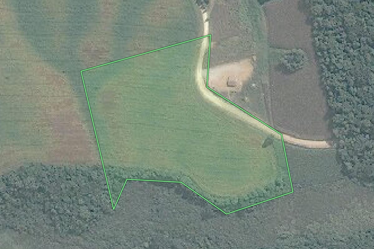 Imagem de satélite do imóvel rural em Araucária (PR), com o contorno declarado no CAR desenhado por cima.