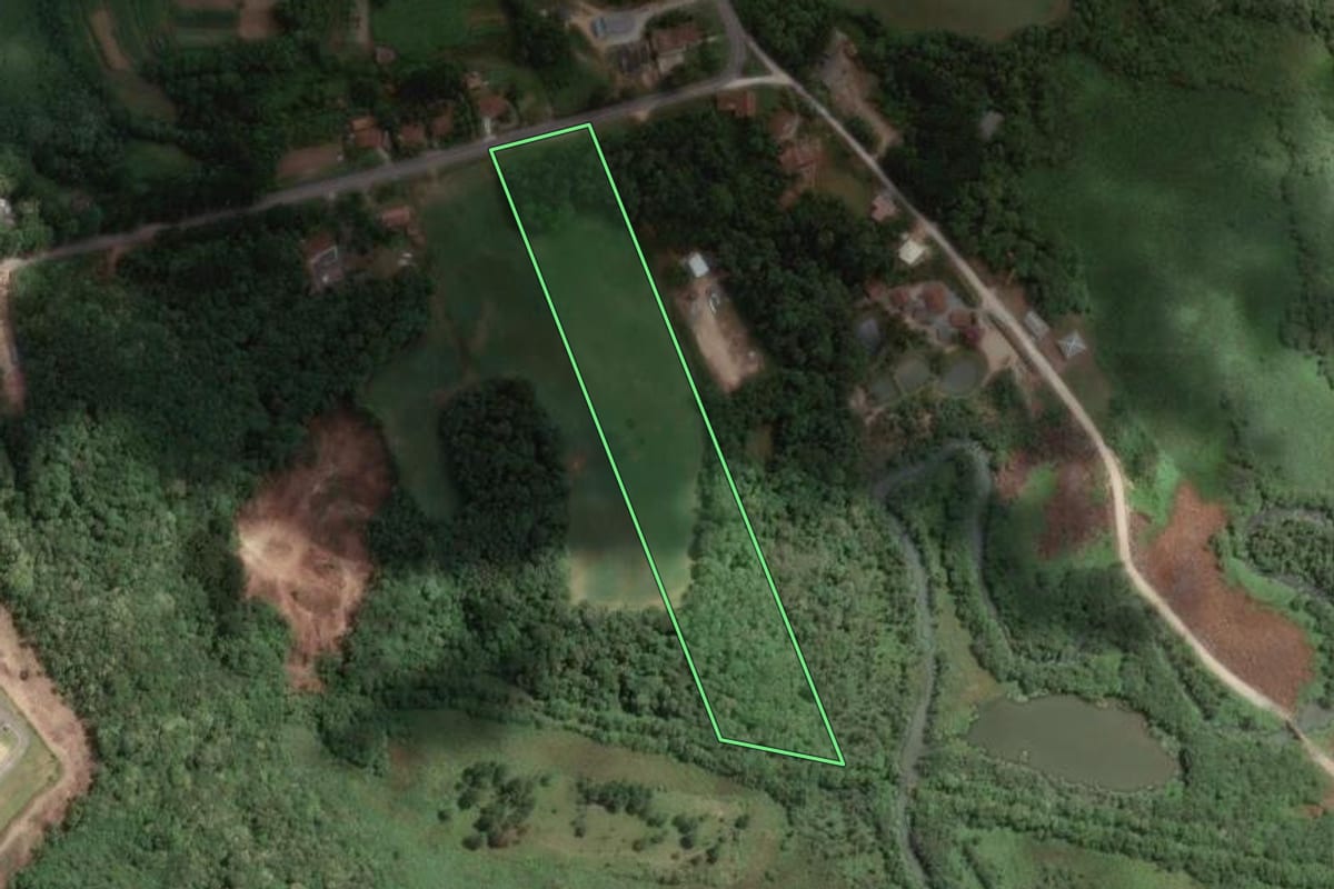 Imagem de satélite do imóvel rural em Araucária (PR), com o contorno declarado no CAR desenhado por cima.