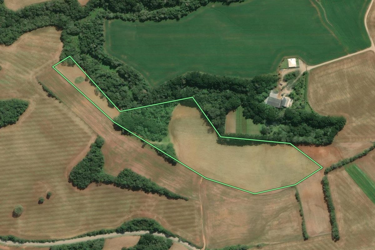 Imagem de satélite do imóvel rural em Araucária (PR), com o contorno declarado no CAR desenhado por cima.