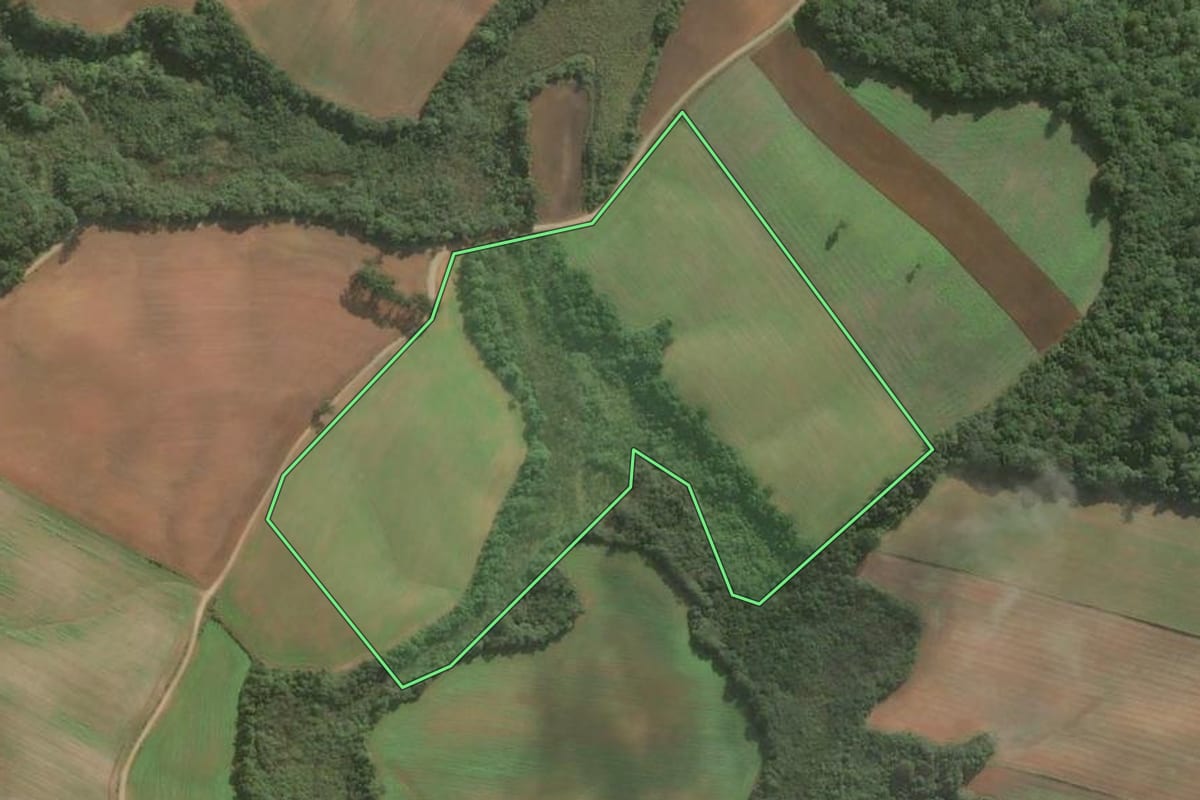 Imagem de satélite do imóvel rural em Araucária (PR), com o contorno declarado no CAR desenhado por cima.