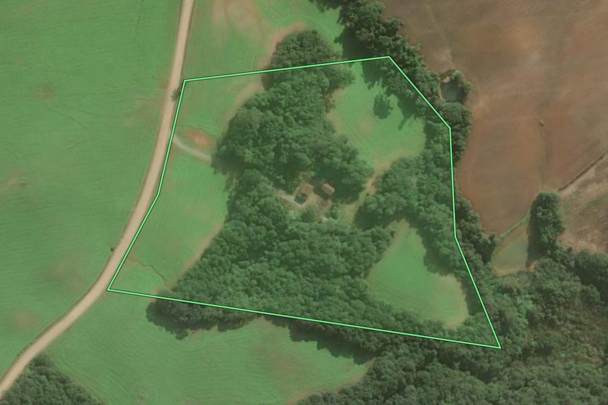 Imagem de satélite do imóvel rural em Araucária (PR), com o contorno declarado no CAR desenhado por cima.