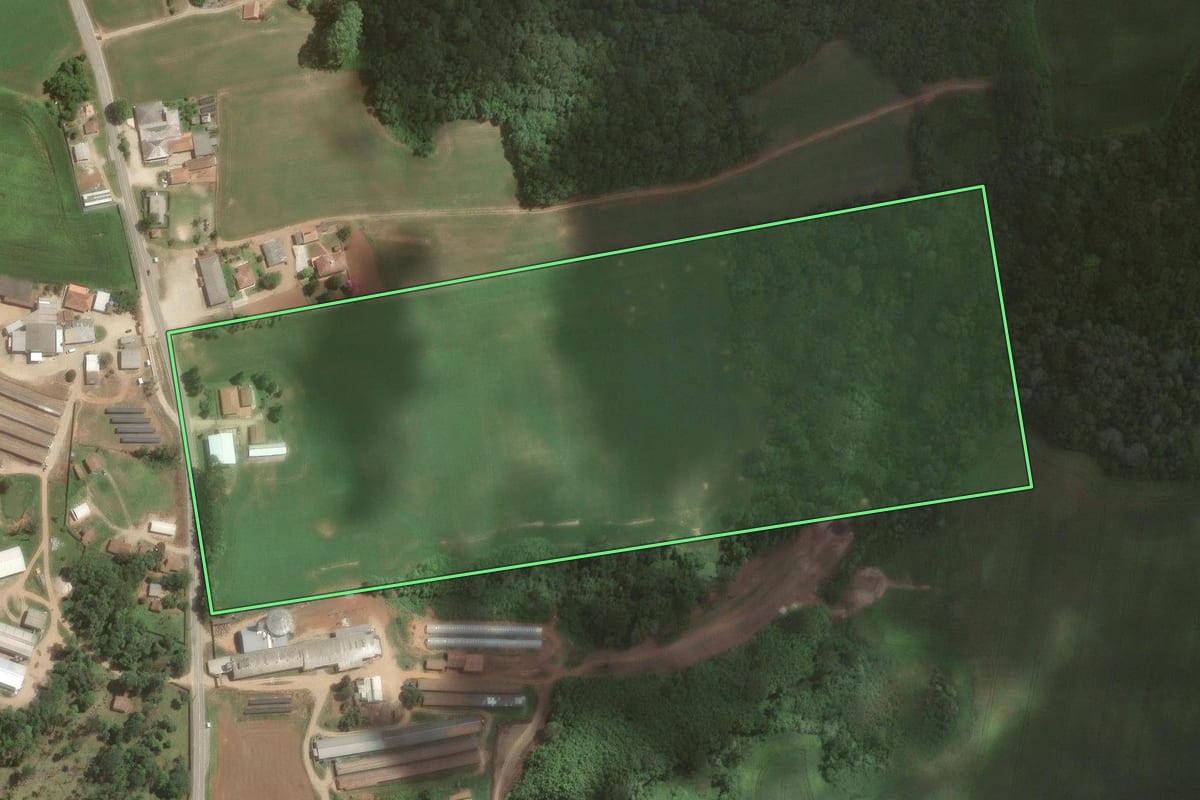 Imagem de satélite do imóvel rural em Araucária (PR), com o contorno declarado no CAR desenhado por cima.