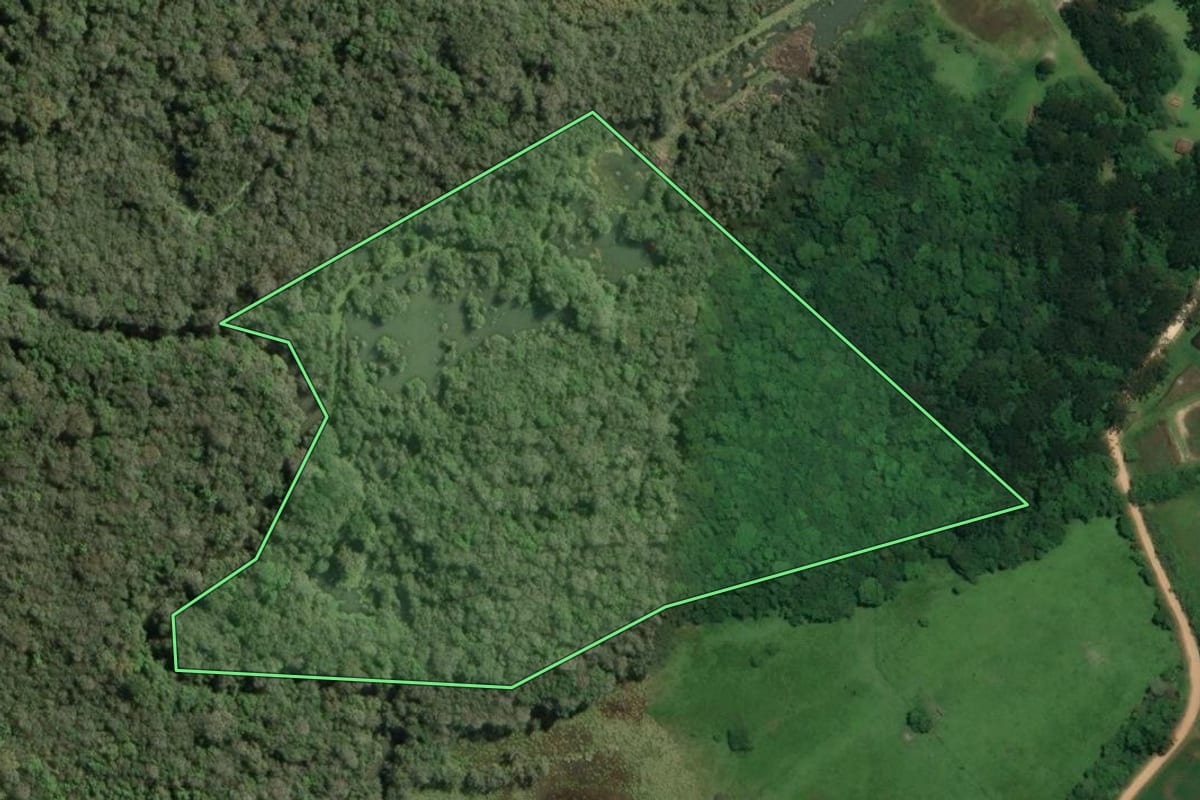 Imagem de satélite do imóvel rural em Araucária (PR), com o contorno declarado no CAR desenhado por cima.