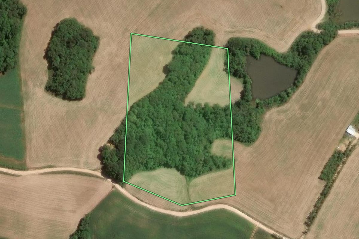 Imagem de satélite do imóvel rural em Araucária (PR), com o contorno declarado no CAR desenhado por cima.