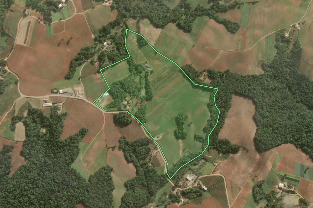 Imagem de satélite do imóvel rural em Araucária (PR), com o contorno declarado no CAR desenhado por cima.