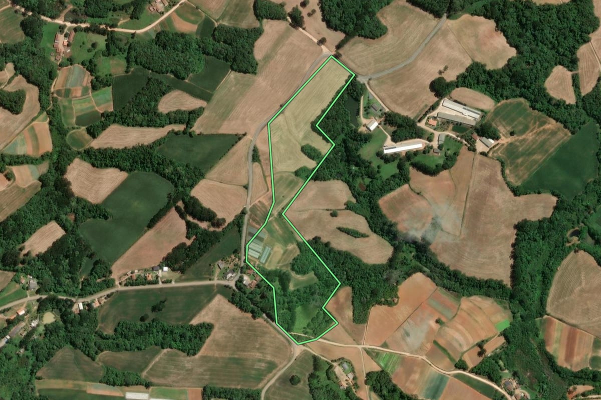 Imagem de satélite do imóvel rural em Araucária (PR), com o contorno declarado no CAR desenhado por cima.