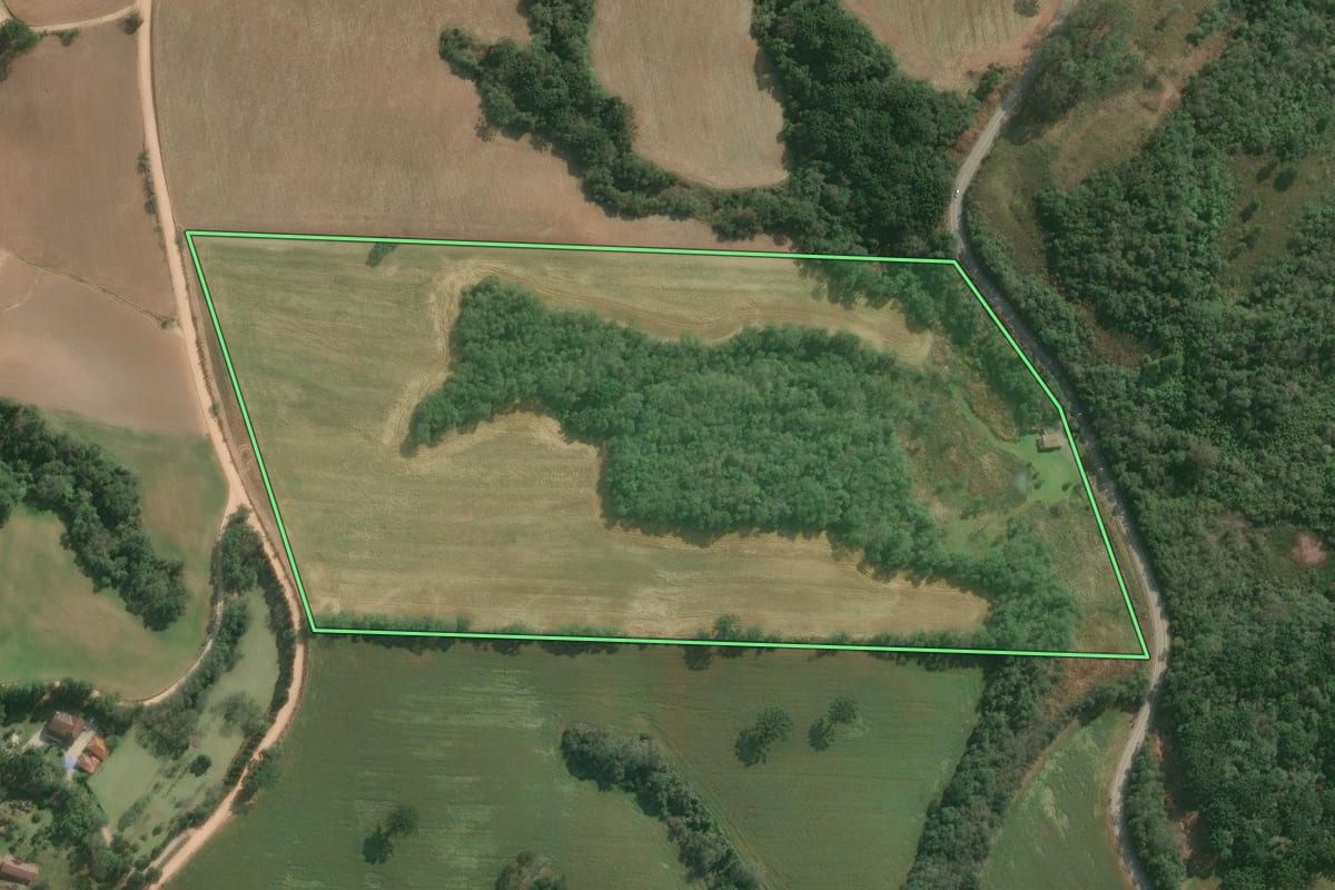 Imagem de satélite do imóvel rural em Araucária (PR), com o contorno declarado no CAR desenhado por cima.
