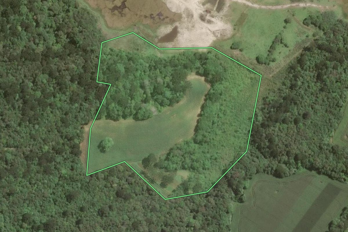Imagem de satélite do imóvel rural em Araucária (PR), com o contorno declarado no CAR desenhado por cima.