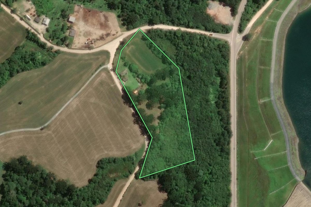 Imagem de satélite do imóvel rural em Araucária (PR), com o contorno declarado no CAR desenhado por cima.