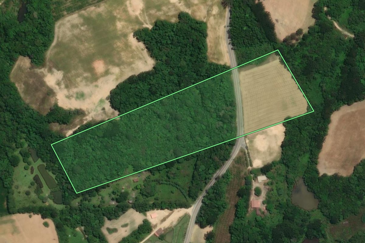 Imagem de satélite do imóvel rural em Araucária (PR), com o contorno declarado no CAR desenhado por cima.