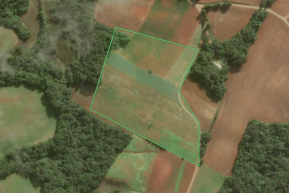 Imagem de satélite do imóvel rural em Araucária (PR), com o contorno declarado no CAR desenhado por cima.