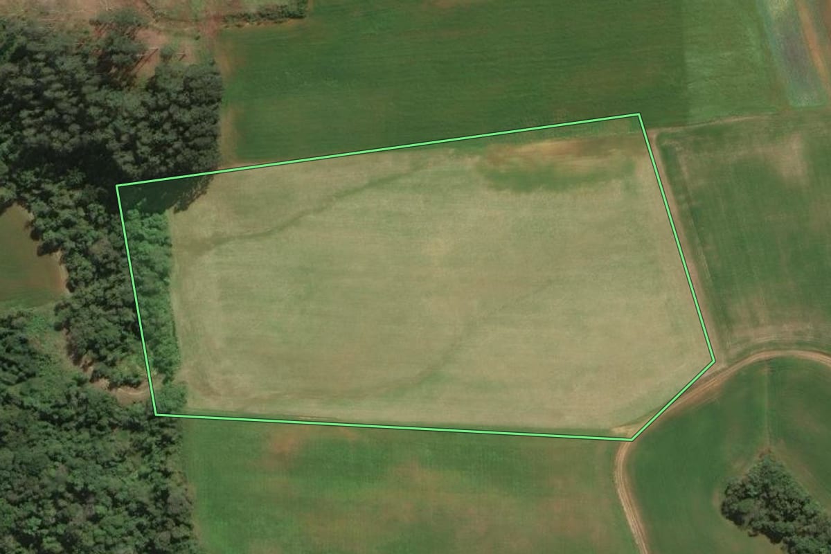 Imagem de satélite do imóvel rural em Araucária (PR), com o contorno declarado no CAR desenhado por cima.
