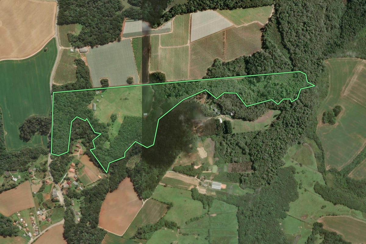 Imagem de satélite do imóvel rural em Araucária (PR), com o contorno declarado no CAR desenhado por cima.