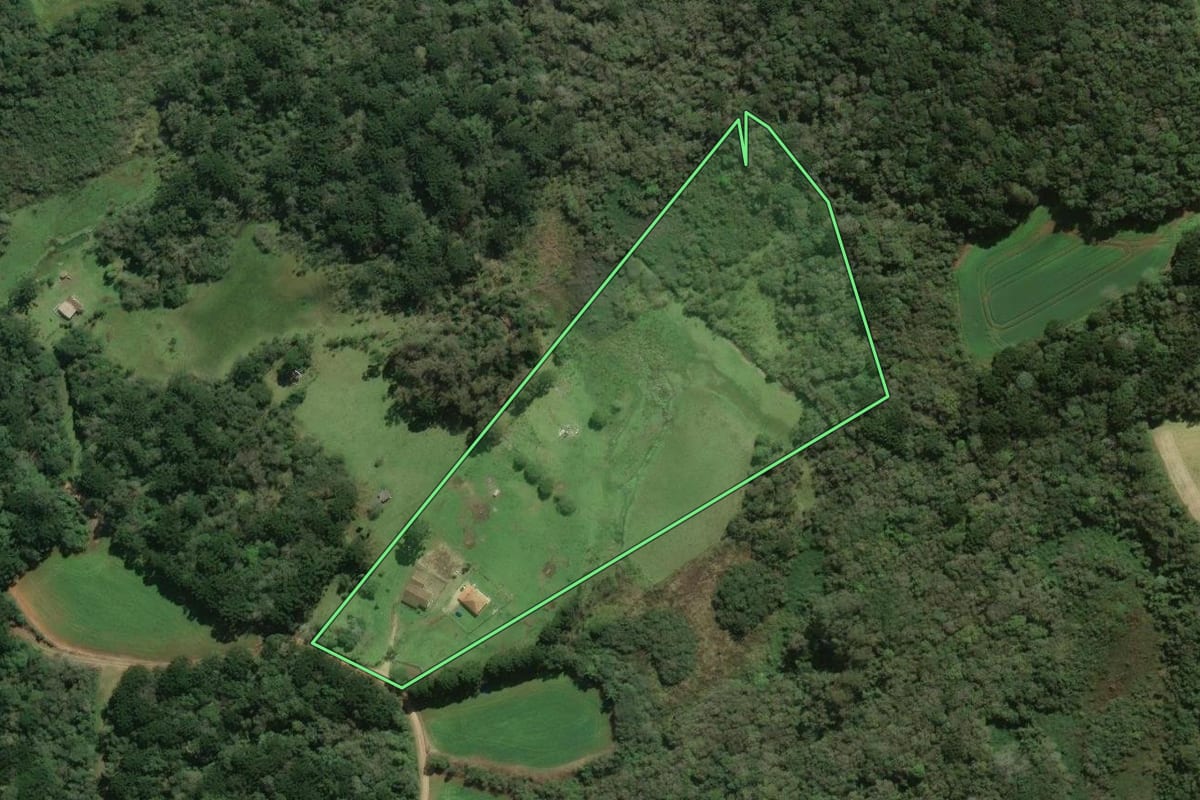 Imagem de satélite do imóvel rural em Araucária (PR), com o contorno declarado no CAR desenhado por cima.